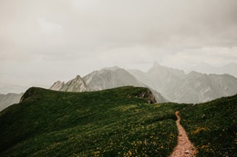 Nature-Photography