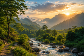 A Haven for Nature Lovers